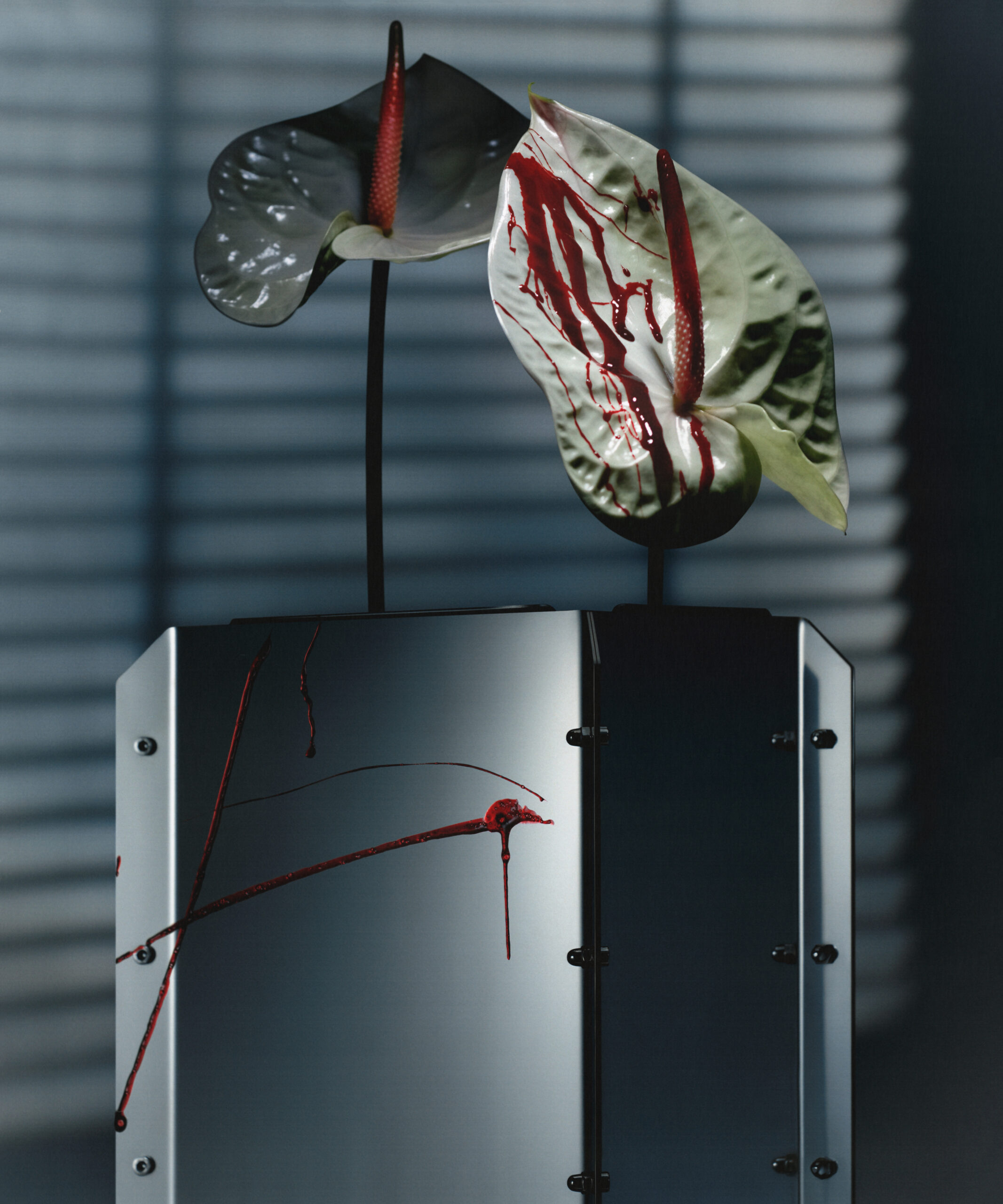 B016SZN_250306_CAPSULE_01_SCANSIONE